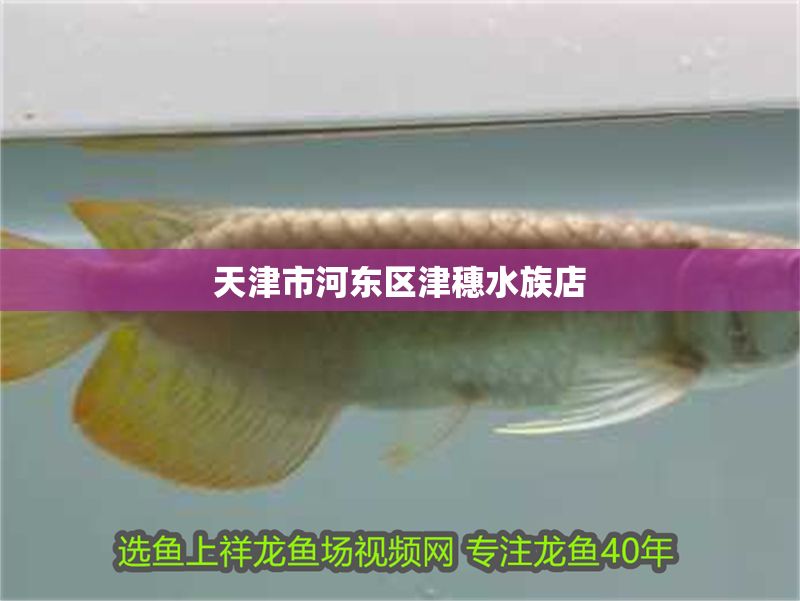 天津市河東區津穗水族店