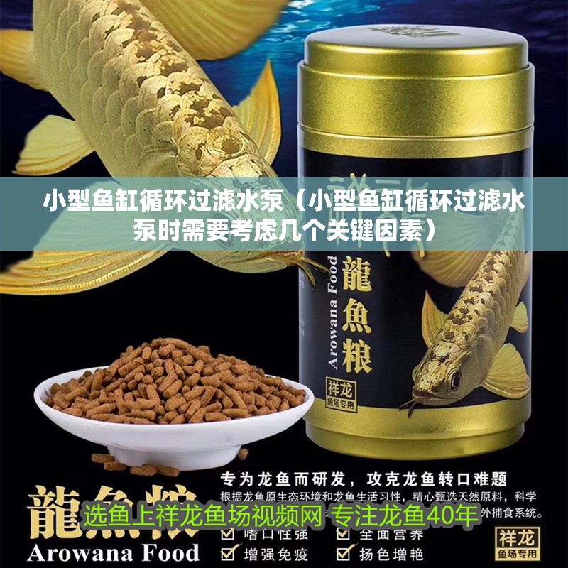 小型魚缸循環(huán)過濾水泵（小型魚缸循環(huán)過濾水泵時(shí)需要考慮幾個(gè)關(guān)鍵因素）
