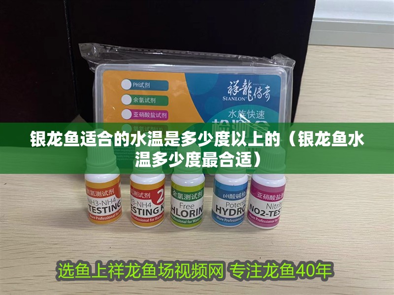 銀龍魚適合的水溫是多少度以上的（銀龍魚水溫多少度最合適）