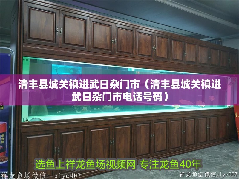 清豐縣城關(guān)鎮(zhèn)進(jìn)武日雜門市（清豐縣城關(guān)鎮(zhèn)進(jìn)武日雜門市電話號(hào)碼）