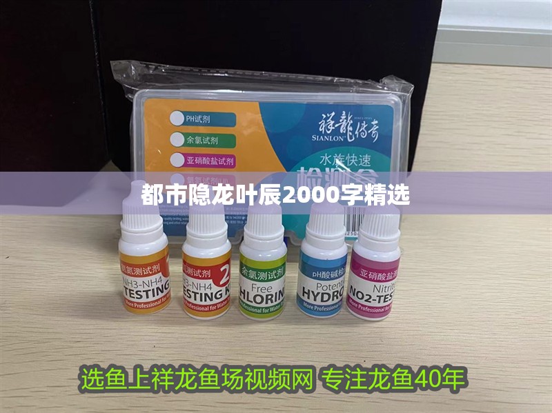 都市隱龍葉辰2000字精選