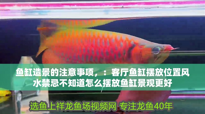 魚缸造景的注意事項，：客廳魚缸擺放位置風水禁忌不知道怎么擺放魚缸景觀更好