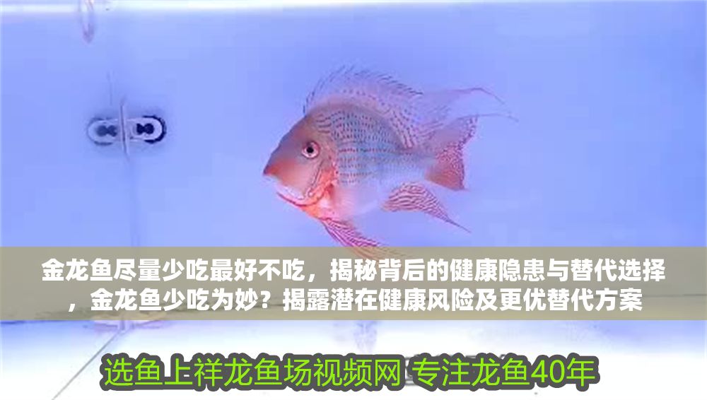 金龍魚盡量少吃最好不吃，揭秘背后的健康隱患與替代選擇，金龍魚少吃為妙？揭露潛在健康風(fēng)險及更優(yōu)替代方案