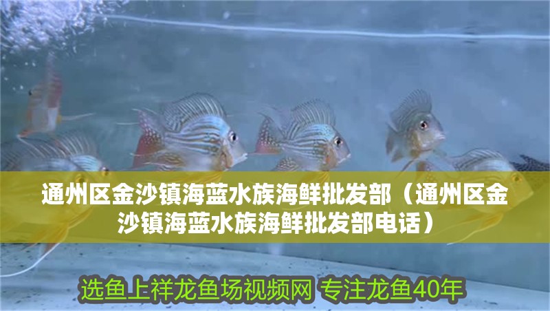通州區金沙鎮海藍水族海鮮批發部（通州區金沙鎮海藍水族海鮮批發部電話）