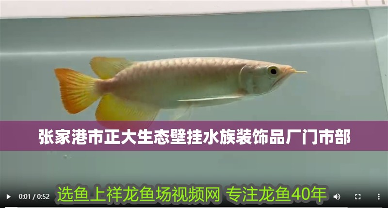 張家港市正大生態(tài)壁掛水族裝飾品廠門市部