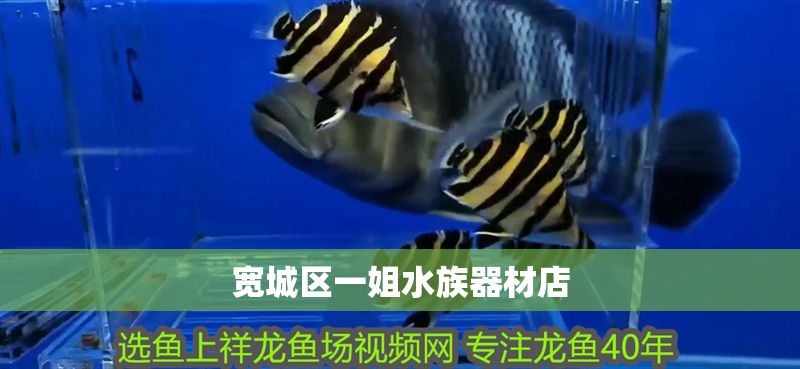 寬城區一姐水族器材店