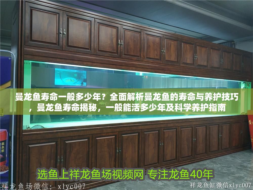曼龍魚壽命一般多少年？全面解析曼龍魚的壽命與養護技巧，曼龍魚壽命揭秘，一般能活多少年及科學養護指南