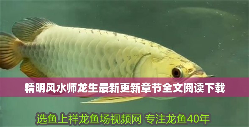 精明風水師龍生最新更新章節全文閱讀下載