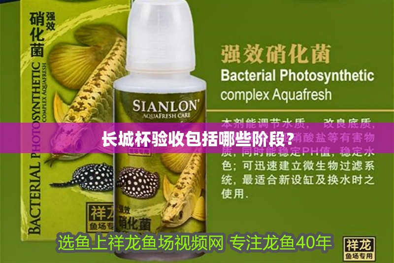 長(zhǎng)城杯驗(yàn)收包括哪些階段？