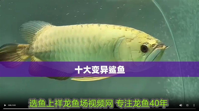 十大變異鯊魚