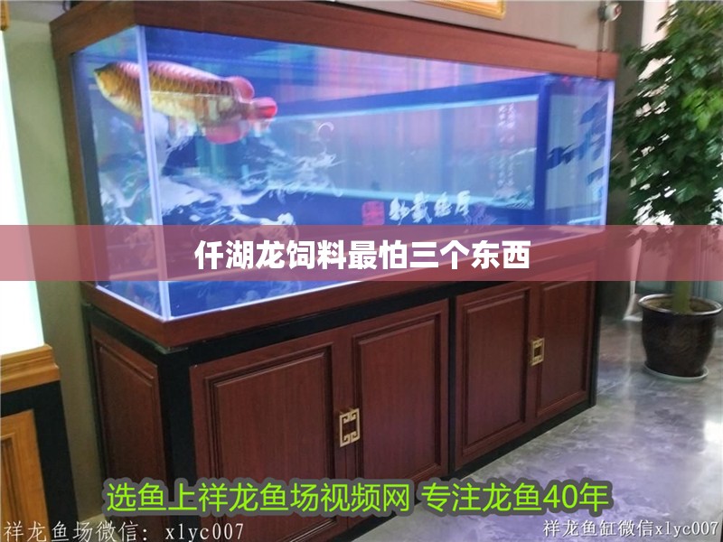 仟湖龍飼料最怕三個東西