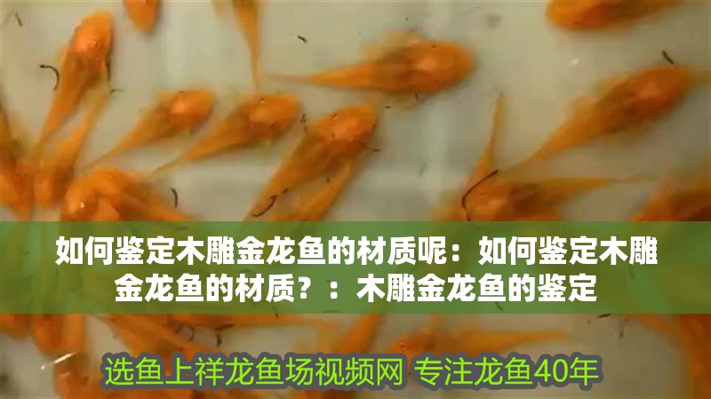 如何鑒定木雕金龍魚(yú)的材質(zhì)呢：如何鑒定木雕金龍魚(yú)的材質(zhì)？：木雕金龍魚(yú)的鑒定