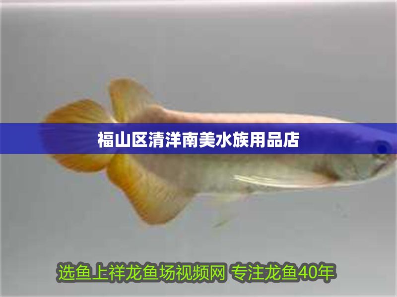 <strong><mark>福山</mark></strong>區清洋南美水族用品店