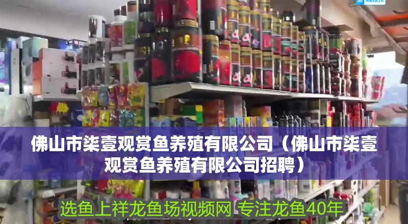 佛山市柒壹觀賞魚養殖有限公司（佛山市柒壹觀賞魚養殖有限公司招聘）