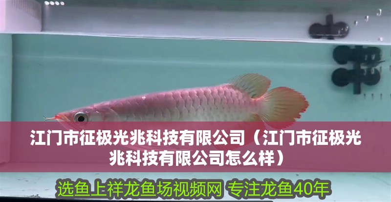 江門市征極光兆科技有限公司（江門市征極光兆科技有限公司怎么樣）