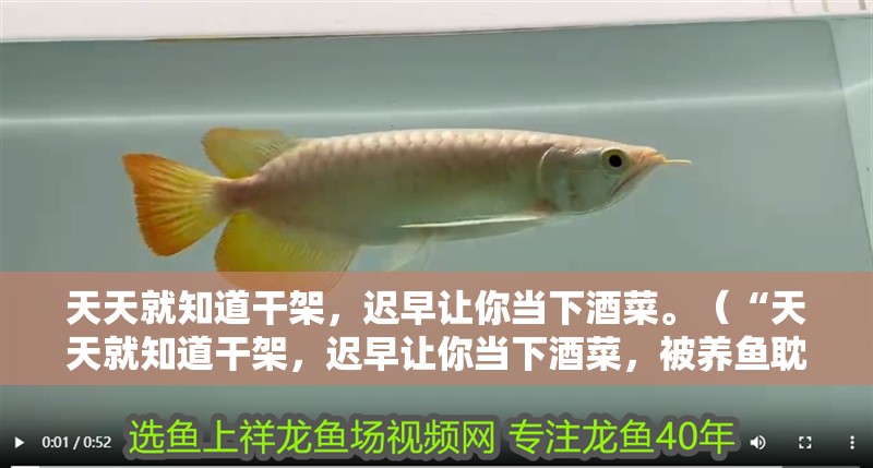 天天就知道干架，遲早讓你當(dāng)下酒菜。（“天天就知道干架，遲早讓你當(dāng)下酒菜，被養(yǎng)魚(yú)耽誤的建筑師評(píng)論”）