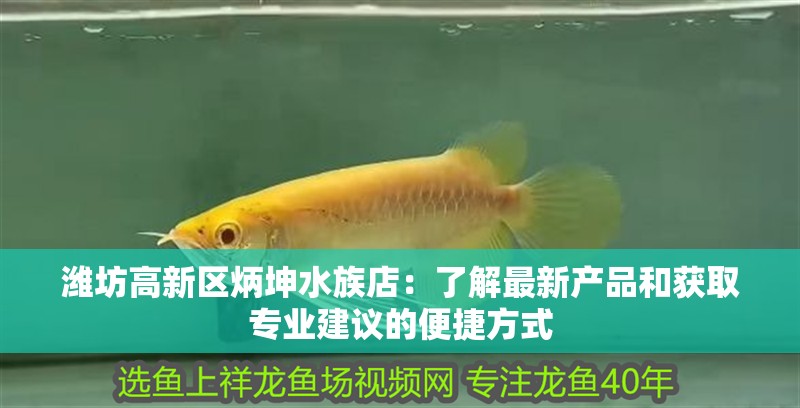濰坊高新區(qū)炳坤水族店：了解最新產(chǎn)品和獲取專業(yè)建議的便捷方式