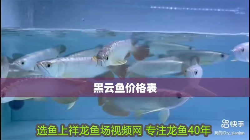 黑云魚價格表