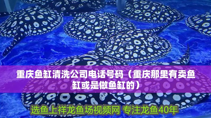 重慶魚缸清洗公司電話號(hào)碼（重慶那里有賣魚缸或是做魚缸的）