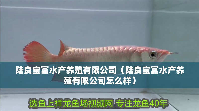 陸良寶富水產養殖有限公司（陸良寶富水產養殖有限公司怎么樣）