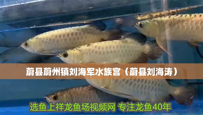 蔚縣蔚州鎮劉海軍水族宮（蔚縣劉海濤）
