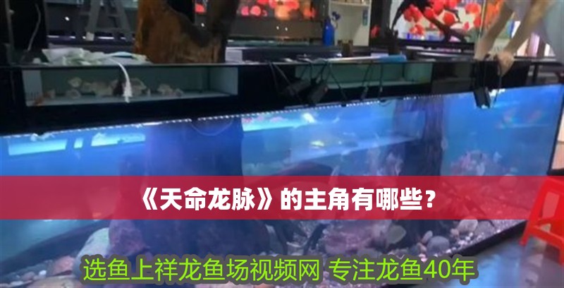 《天命龍脈》的主角有哪些？