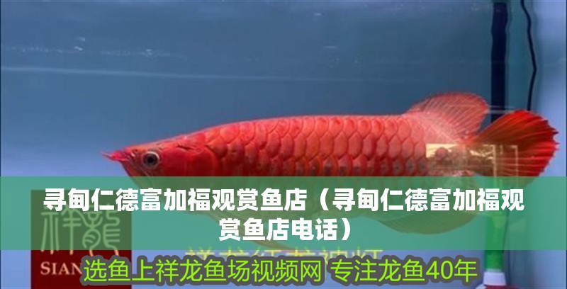 尋甸仁德富加福觀賞魚店（尋甸仁德富加福觀賞魚店電話）