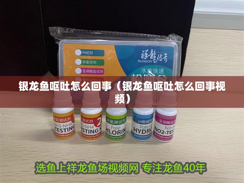 銀龍魚嘔吐怎么回事（銀龍魚嘔吐怎么回事視頻）