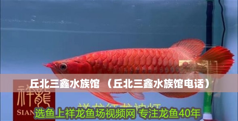 丘北三鑫水族館 （丘北三鑫水族館電話）