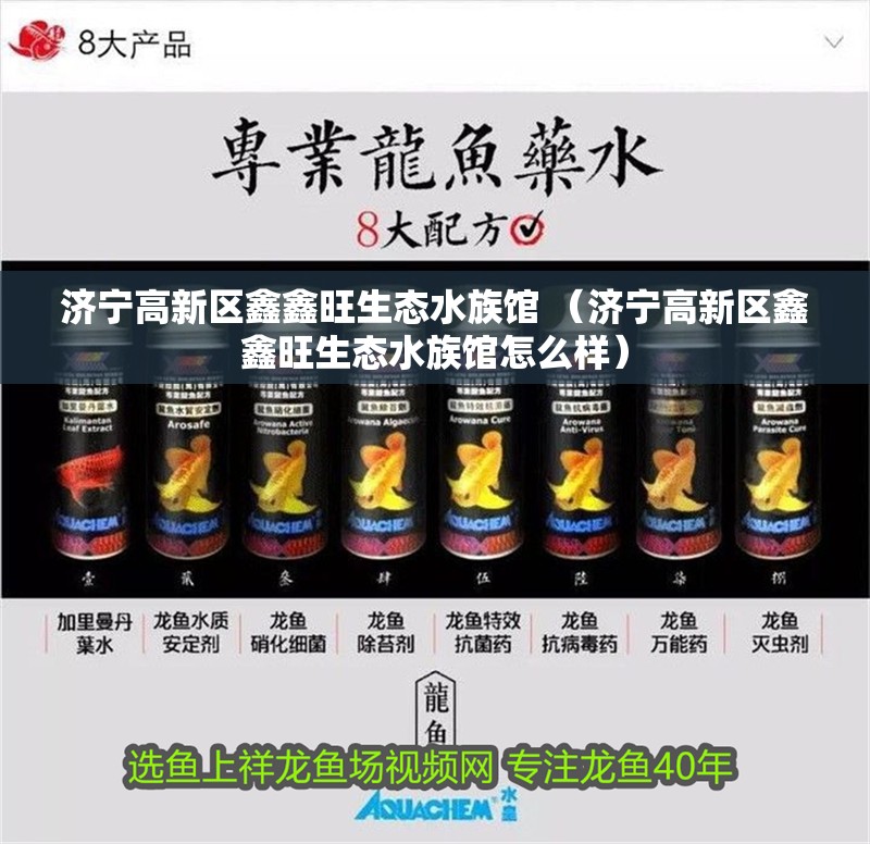 濟寧高新區鑫鑫旺生態水族館 （濟寧高新區鑫鑫旺生態水族館怎么樣）