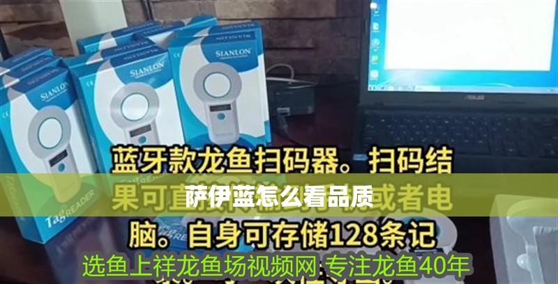 薩伊藍怎么看品質