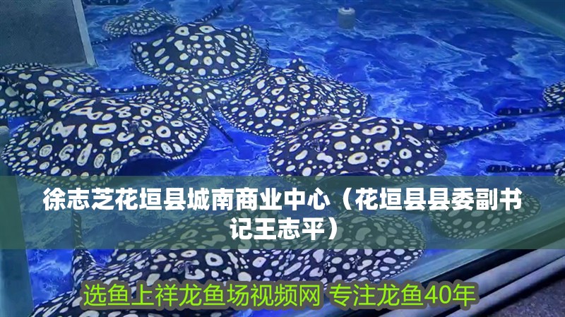 徐志芝花垣縣城南商業中心（花垣縣縣委副書記王志平）