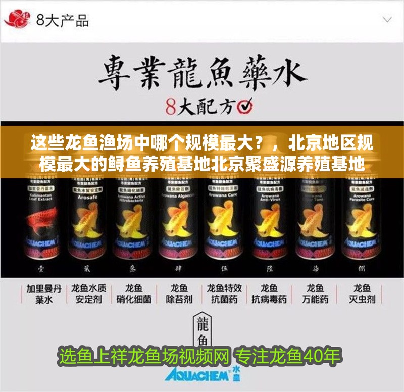 這些龍魚漁場中哪個規模最大？，北京地區規模最大的鱘魚養殖基地北京聚盛源養殖基地 這些龍魚漁場中哪個規模最大？，北京地區規模最大的鱘魚養殖基地北京聚盛源養殖基地 龍魚百科