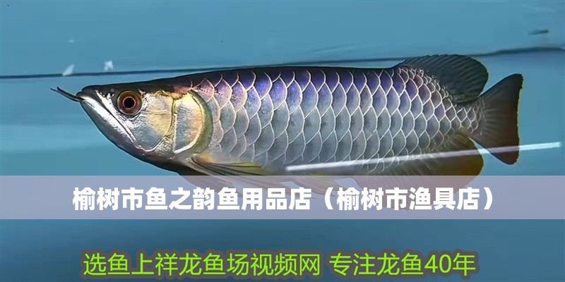 魚缸過濾器選購指南:自制魚缸過濾器魚缸上置過濾器對于養(yǎng)魚愛好者的必備知識 榆樹市魚之韻魚用品店(榆樹市漁具店) 全國水族館企業(yè)名錄 榆樹市魚之韻魚用品店(榆樹市漁具店) 榆樹市魚之韻魚用品店(榆樹市漁具店) 全國水族館企業(yè)名錄