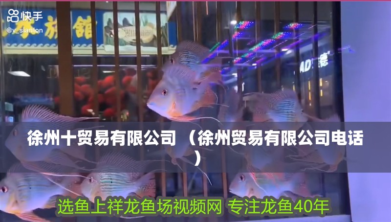 <strong><mark>徐州</mark></strong>十貿易有限公司 （<strong><mark>徐州</mark></strong>貿易有限公司電話）