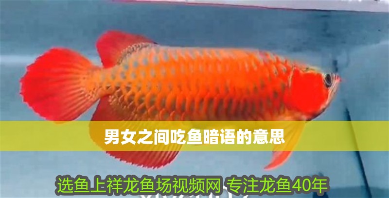 男女之間吃魚暗語的意思