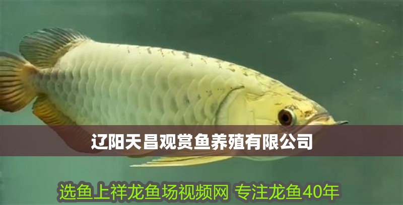 遼陽天昌觀賞魚養殖有限公司