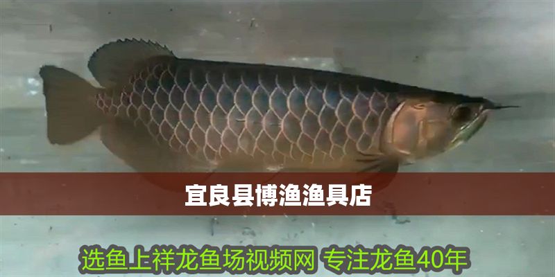 宜良縣博漁漁具店