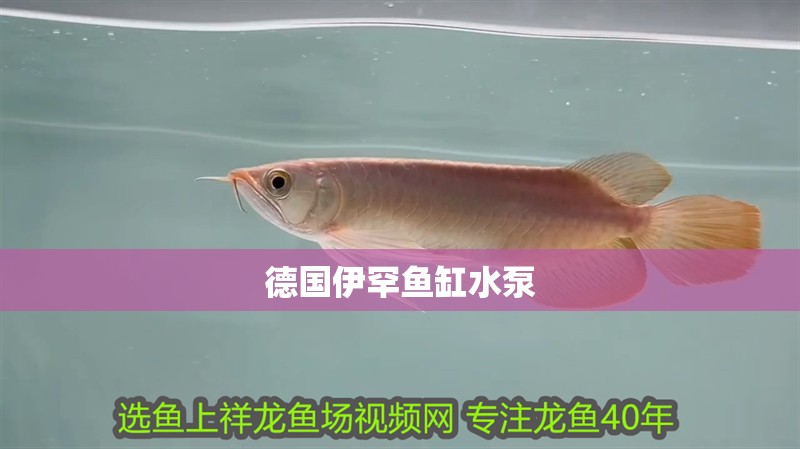 德國伊罕魚缸水泵