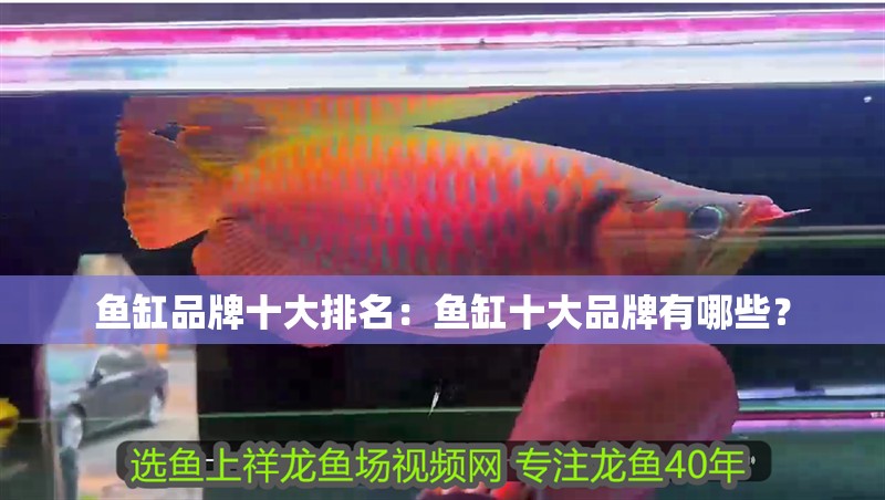 魚缸品牌十大排名：魚缸十大品牌有哪些？