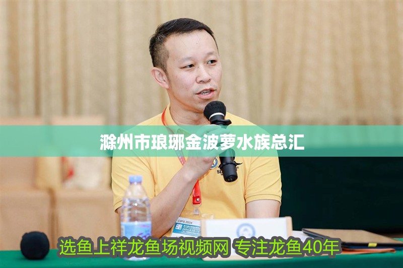 滁州市瑯琊金波蘿水族總匯