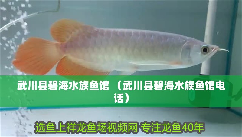 <strong><mark>武川</mark></strong>縣碧海水族魚(yú)館 （<strong><mark>武川</mark></strong>縣碧海水族魚(yú)館電話）