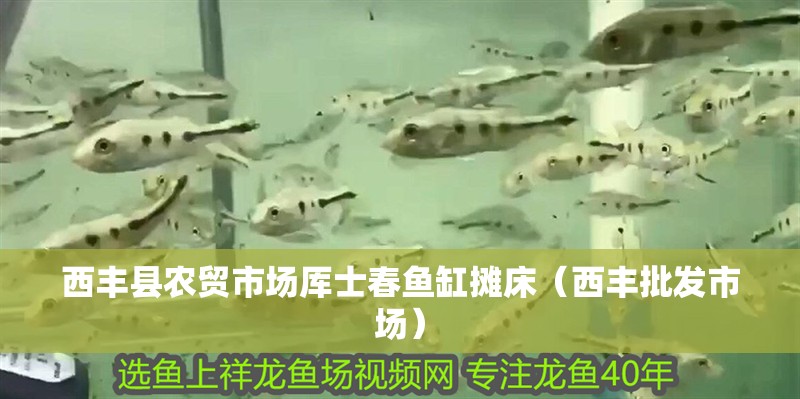 西豐縣農貿市場厙士春魚缸攤床（西豐批發市場）