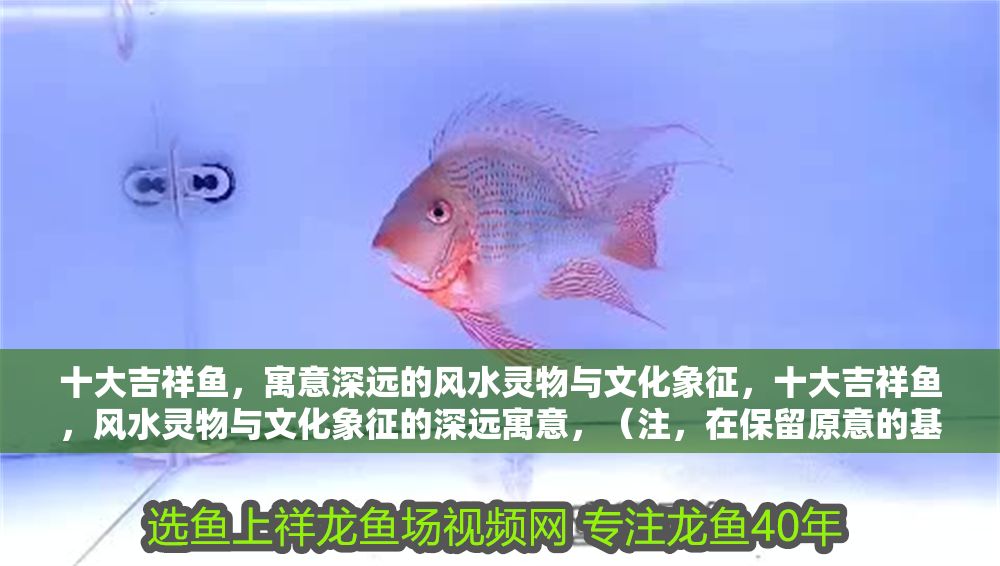 十大吉祥魚，寓意深遠的風水靈物與文化象征，十大吉祥魚，風水靈物與文化象征的深遠寓意，（注，在保留原意的基礎上，調整語序使標題更簡潔流暢，同時突出關鍵詞吉祥魚風水文化的關聯性。）