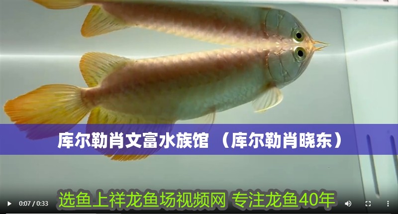 庫爾勒肖文富水族館 （庫爾勒肖曉東）