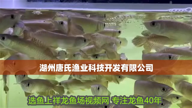 湖州唐氏漁業(yè)科技開(kāi)發(fā)有限公司