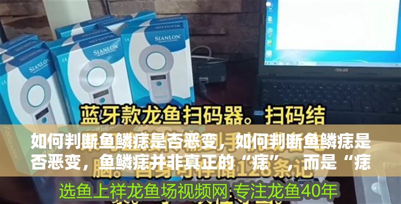 如何判斷魚鱗痣是否惡變，如何判斷魚鱗痣是否惡變，魚鱗痣并非真正的“痣”，而是“痣” 如何判斷魚鱗痣是否惡變，如何判斷魚鱗痣是否惡變，魚鱗痣并非真正的“痣”，而是“痣” 龍魚百科