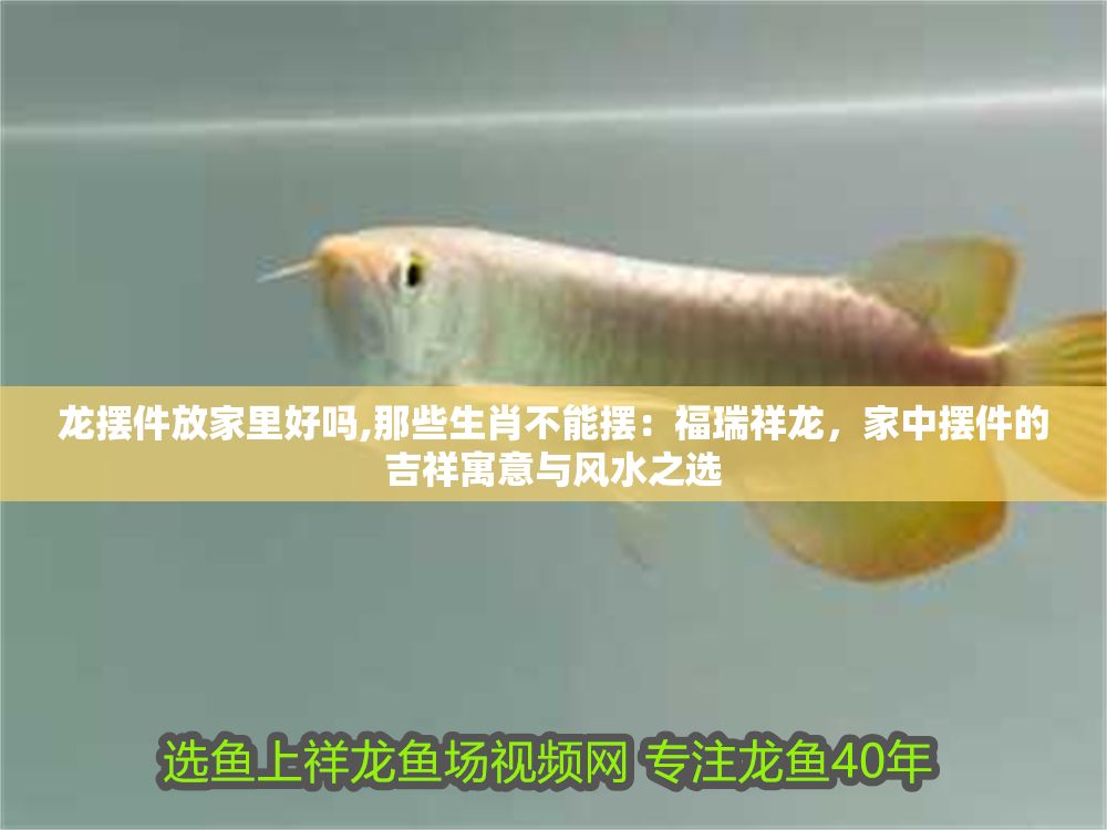 龍擺件放家里好嗎,那些生肖不能擺：福瑞祥龍，家中擺件的吉祥寓意與風水之選
