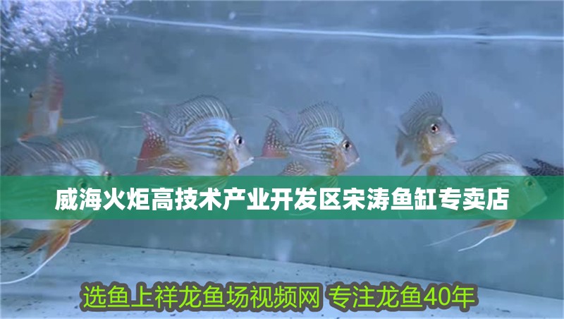 威海火炬高技術(shù)產(chǎn)業(yè)開(kāi)發(fā)區(qū)宋濤魚(yú)缸專賣店