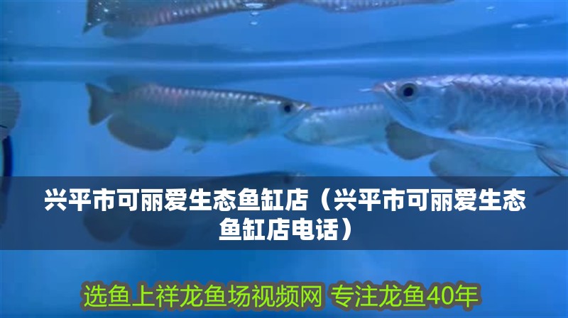 興平市可麗愛生態(tài)魚缸店（興平市可麗愛生態(tài)魚缸店電話）